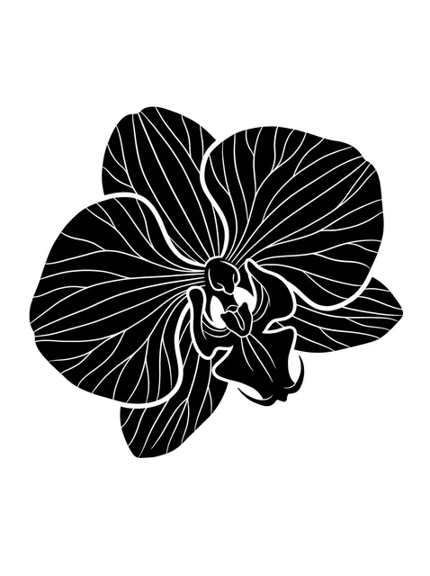 Black and white blackwork orchid tattoo design