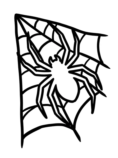 Black and white blackwork spider tattoo design: a stylized spider on a web