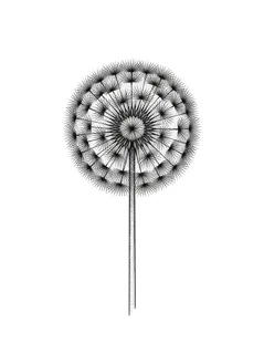 Black and grey dotwork dandelion tattoo design