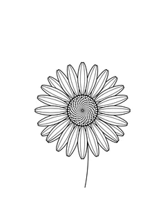 Black and white fine line daisy tattoo design, outline stencil