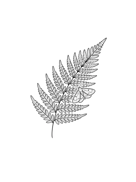 Black and grey fine line fern and moth tattoo design, outline stencil