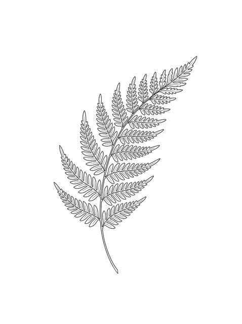 Black and white fine line fern tattoo design, outline stencil