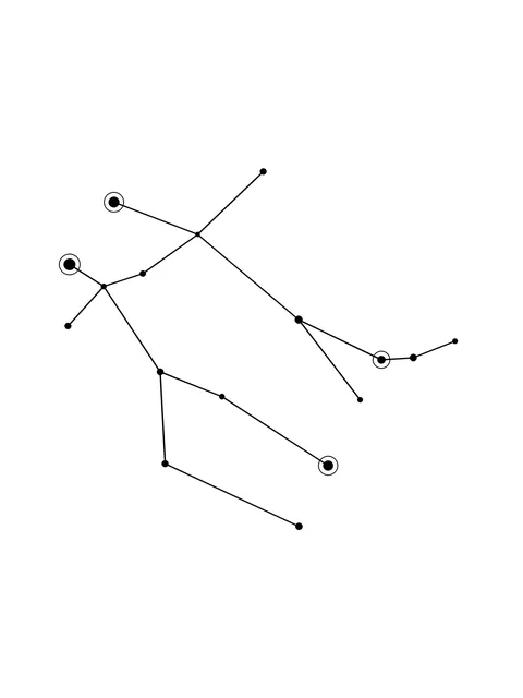 Tattoo-Vorlage mit dem Sternzeichen Zwillinge und einem Sternbild, Stil: Fine Line, in Schwarz-Grau