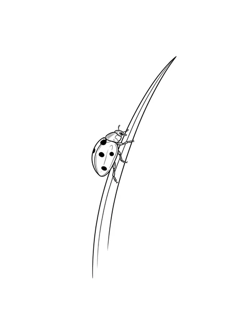 Black and white fine line ladybug tattoo design, outline stencil