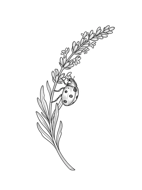 Black and white fine line ladybug tattoo design, outline stencil