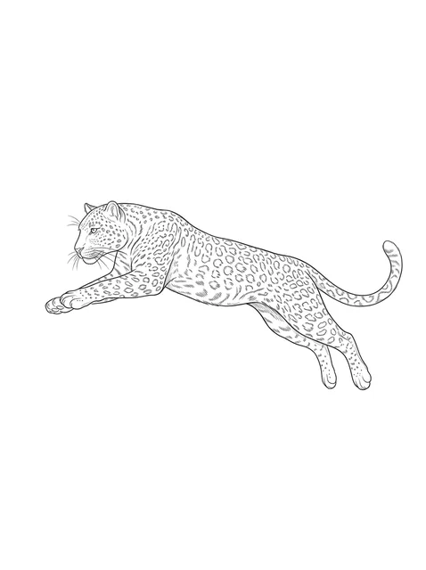 Black and white fine line leopard tattoo design, outline stencil