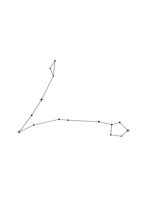 Tattoo-Vorlage mit dem Sternzeichen Fische und einem Sternbild, Stil: Fine Line, in Schwarz-Grau