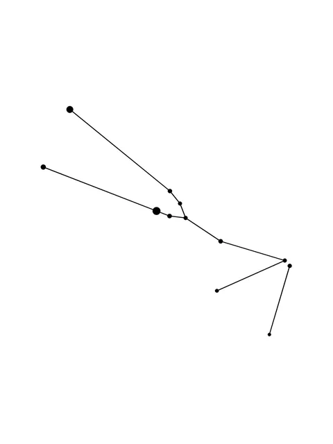 Tattoo-Vorlage mit dem Sternzeichen Stier und einem Sternbild, Stil: Fine Line, in Schwarz-Grau