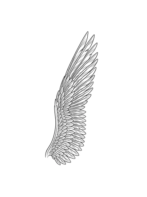 Black and grey illustrative angel wings tattoo design: a single angel wing