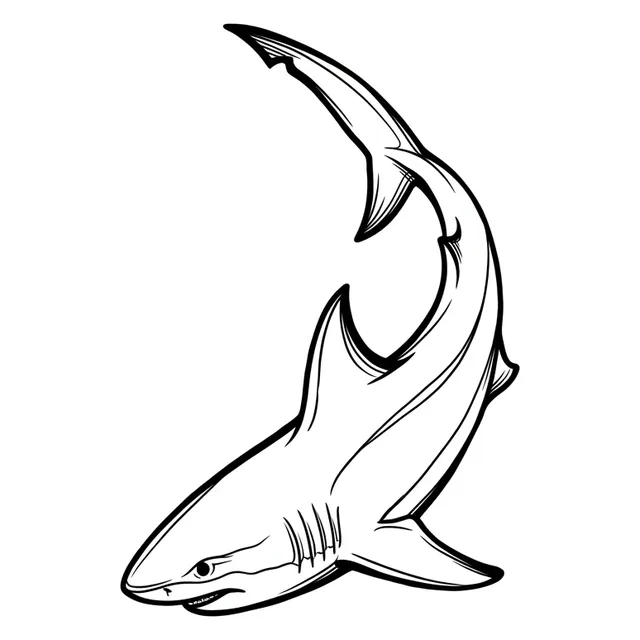 illustrative Shark tattoo design, black and grey