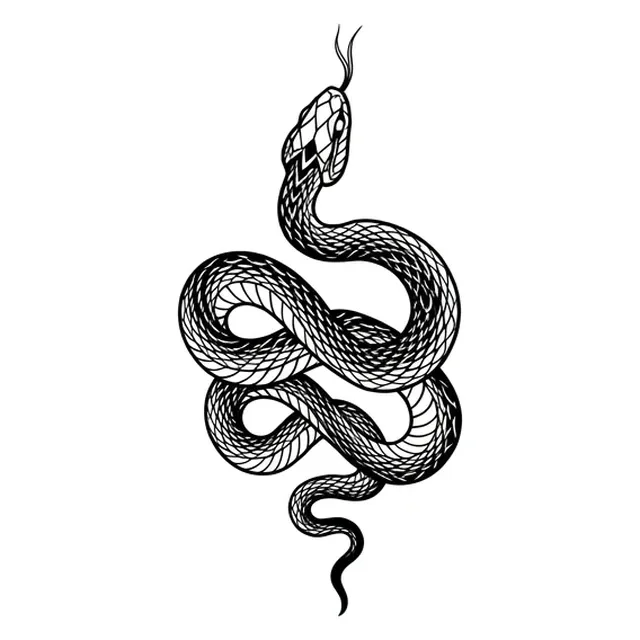 Black and grey illustrative snake tattoo design: a coiled snake