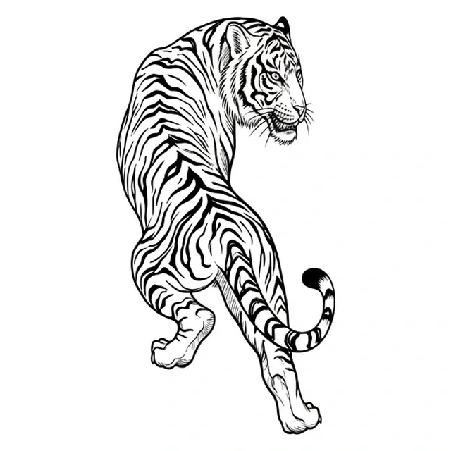 illustrative Tiger tattoo design, black and grey