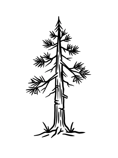 Black and white illustrative tree tattoo design: a pine tree