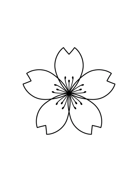 Black and white linework cherry blossom and flower tattoo design, outline stencil