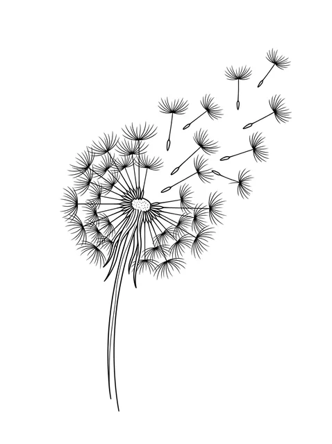 Black and white linework dandelion and flower tattoo design, outline stencil