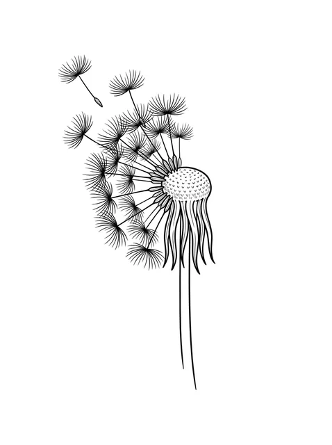 Black and white linework dandelion and flower tattoo design, outline stencil