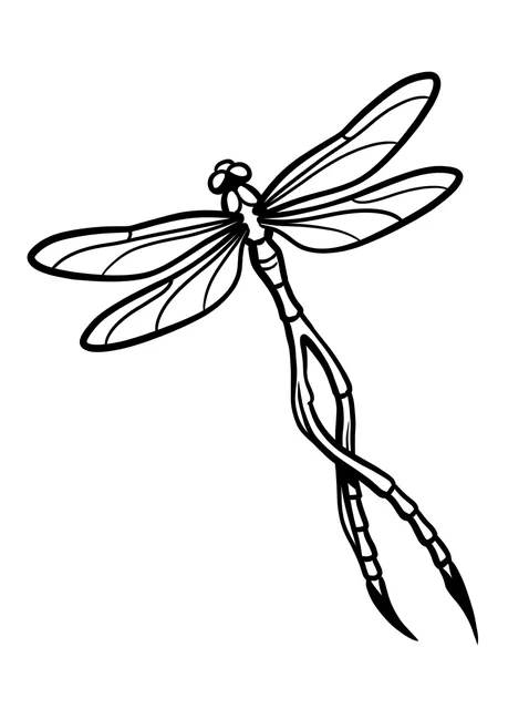 Black and white linework dragonfly tattoo design, outline stencil