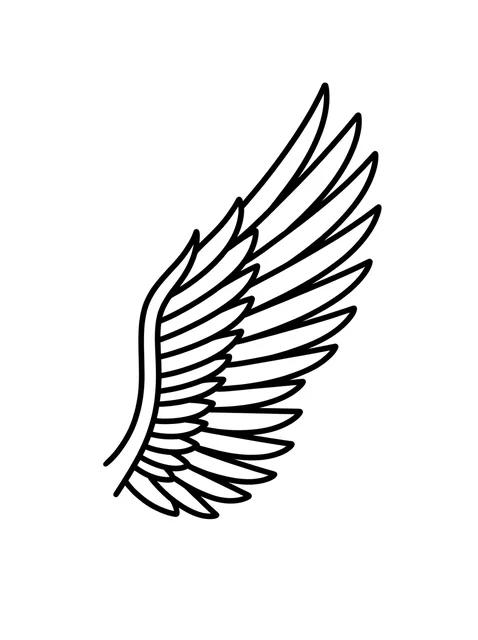 Feather tattoo designs