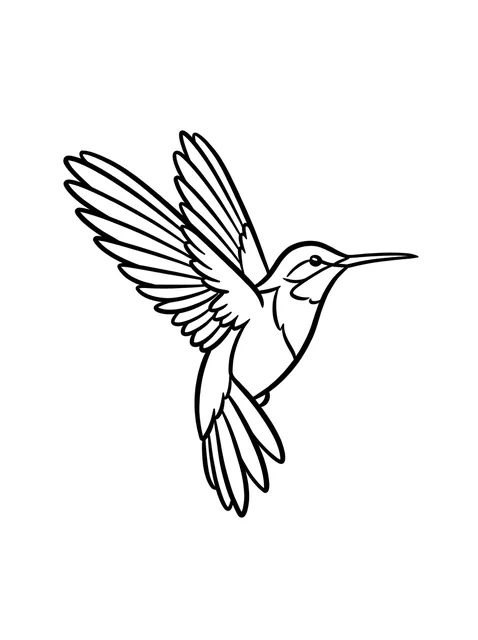 Black and white linework hummingbird tattoo design, outline stencil: a hummingbird in flight