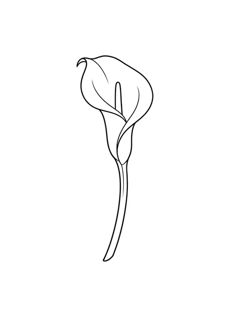 Black and white linework lily and flower tattoo design, outline stencil: a single calla lily flower