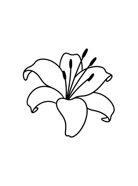 Black and white linework lily and flower tattoo design, outline stencil: a single lily flower