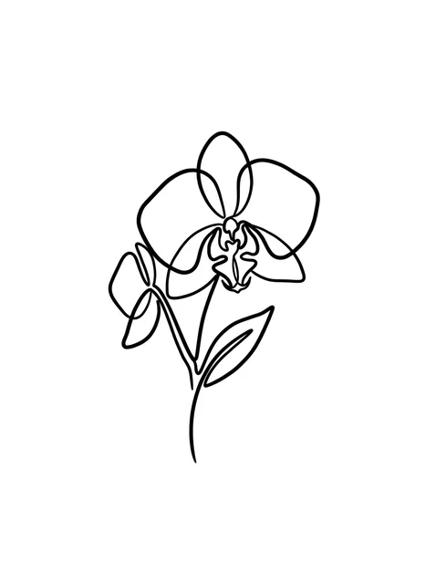 Black and white linework orchid tattoo design, outline stencil