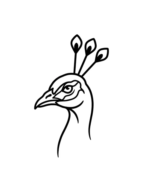 Black and white linework peacock tattoo design, outline stencil