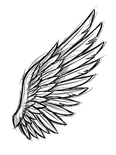 Black and grey sketch angel wings tattoo design: a single angel wing