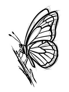 Black and grey sketch butterfly tattoo design: a butterfly in flight
