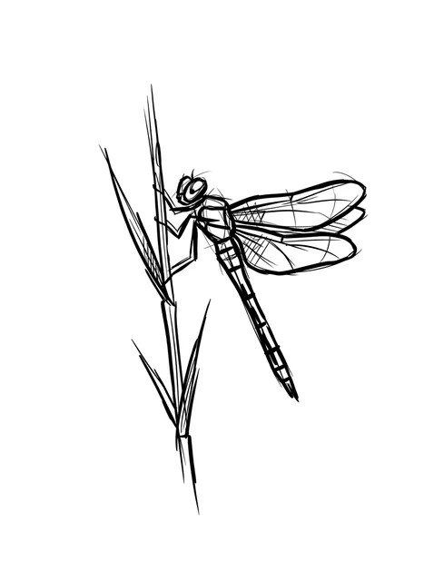 Black and grey sketch dragonfly and leaf tattoo design: a dragonfly perched on a slender leaf