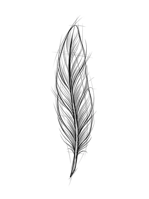 Black and grey sketch feather tattoo design