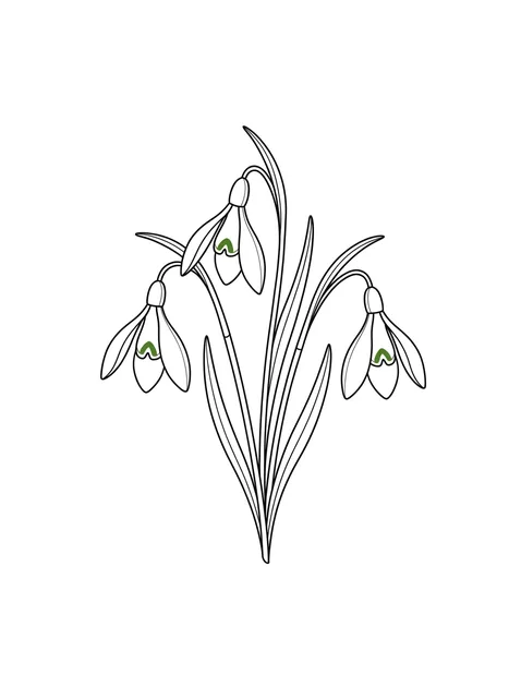 Color fine line birth flower and snowdrop tattoo design, outline stencil