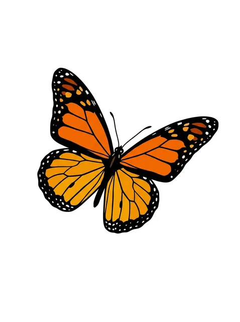 Color illustrative butterfly tattoo design