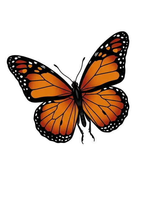 Color illustrative butterfly tattoo design
