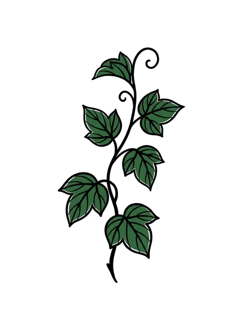 Color illustrative vine and leaf tattoo design: a green ivy vine with several leaves