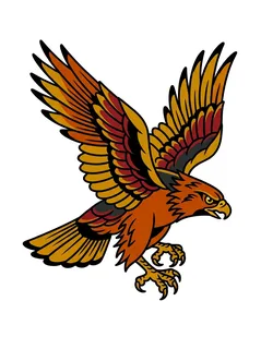 Color traditional hawk tattoo design