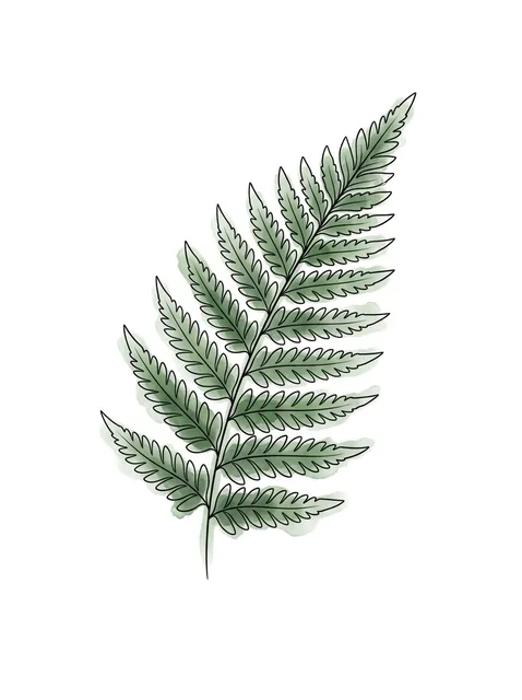 Color watercolor fern tattoo design: the serrated leaflets
