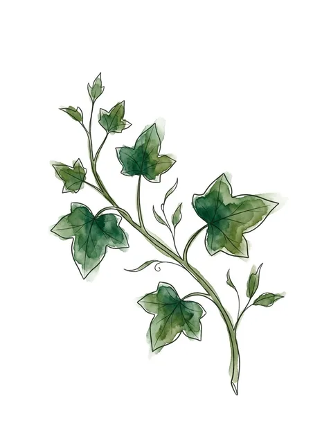 Color watercolor vine and leaf tattoo design: a winding ivy vine with several green leaves