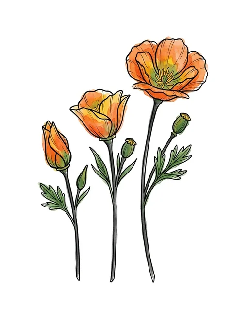 Color watercolor poppy tattoo design