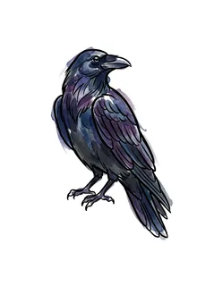 Color watercolor raven tattoo design: a mix of deep blues, purples, and blacks