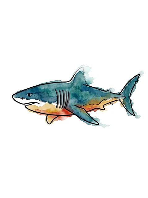 watercolor Shark tattoo design, in colour