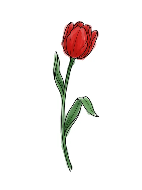 Color watercolor tulip tattoo design
