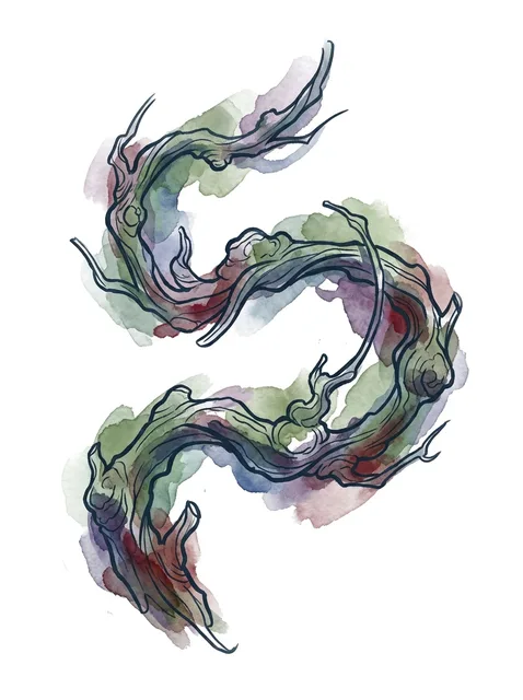 Vine tattoo designs