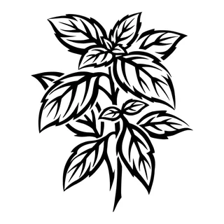 Black and white blackwork leaf tattoo design, drawn flat for a back tattoo