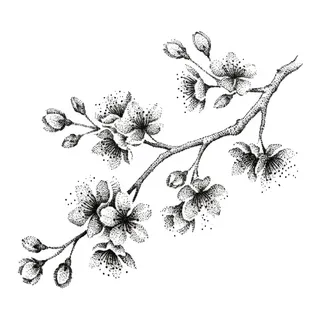 Black and grey dotwork cherry blossom tattoo design, drawn flat for a back tattoo