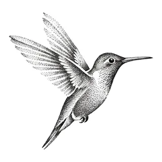 Black and grey dotwork hummingbird tattoo design, drawn flat for a back tattoo