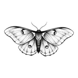 Black and grey dotwork moth tattoo design, drawn flat for a back tattoo