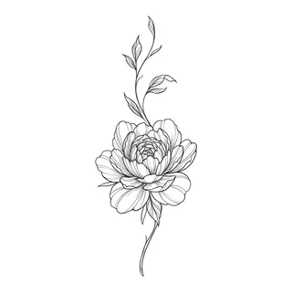 Black and white fine line peony tattoo design, outline stencil for a back tattoo