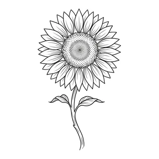 Black and white linework tattoo design, outline stencil for a back tattoo