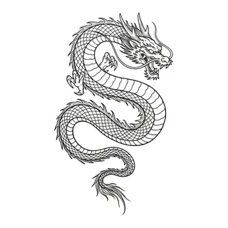 Black and white linework dragon tattoo design, outline stencil for a back tattoo